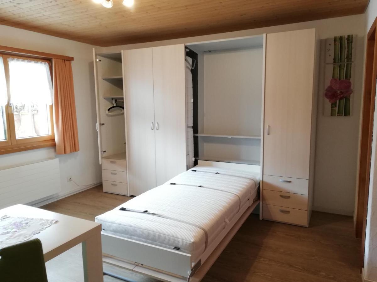 Ferienwohnung Casa Ursina 세드런 외부 사진